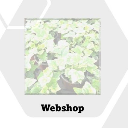 webshop dejong333